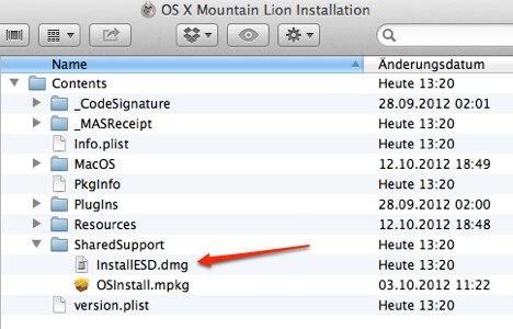 mountain lion download dmg